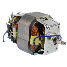 Katı Meyve Sıkacağı Motoru - 9193091212