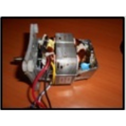 Katı Meyve Sıkacağı Motor - AR180025