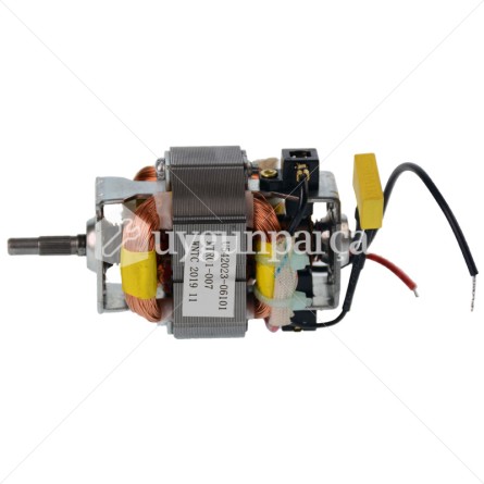 Arzum AR1035 Prochopp Eco Doğrayıcı Motoru - FL189010