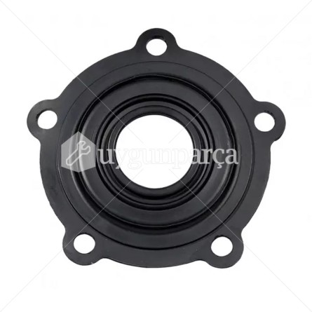 Hotpoint-Ariston Termosifon Rezistans Contası - C00570393