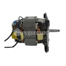 Katı Meyve Sıkacağı Motor - Y72020017