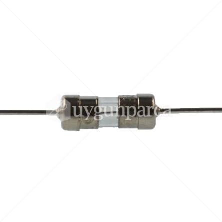 Mikrodalga Fırın Cam Sigortası 3A 10mm - 42109