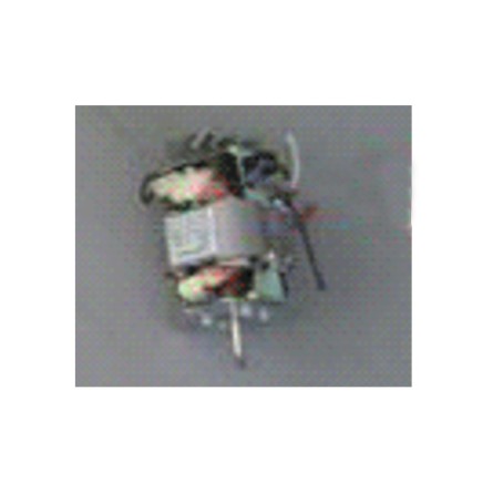 Arzum AR138 Orion Katı Meyve Sıkacağı Motor - AR138011
