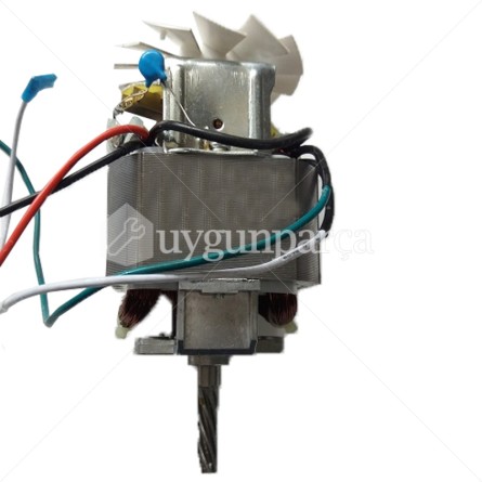 Goldmaster Kıyma Makinesi Motor - Y72430018